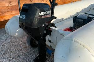 Motore mercury 20cv