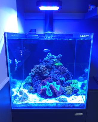 Plafoniera Acquario Marino Radion XR 15 G  PRO