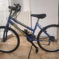 Bicicletta Mountain bike