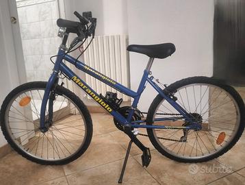 Bicicletta Mountain bike