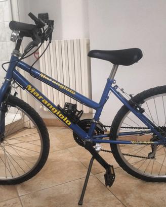 Bicicletta Mountain bike
