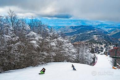 Monolocale rustico a gambarie
