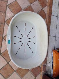 Cesta cane