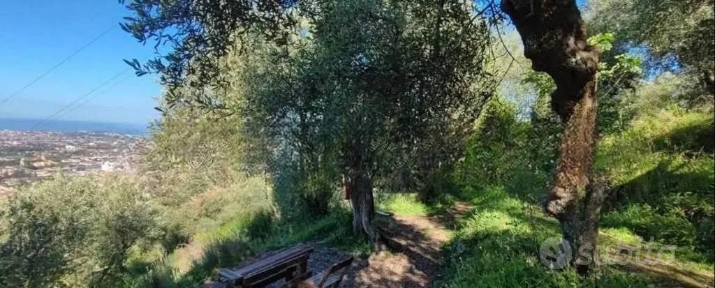 Immobile in asta di 7032 m² a Massa - Vista 2
