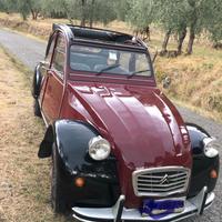 Charlesthon 2 cv citroen
