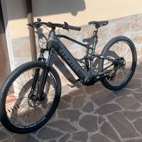 Ebike