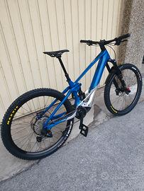Orbea Wild M - Team custom