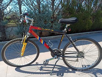 Bici montain bike da uomo