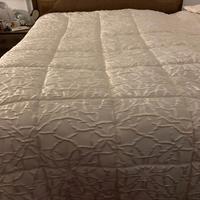 Trapunta matrimoniale colore avorio, euro 190