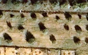 Terreno in C.da Cirica, Ispica (RG)