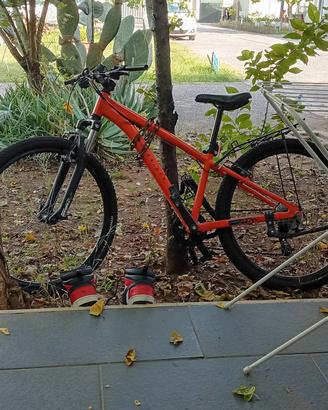 bici rock rider