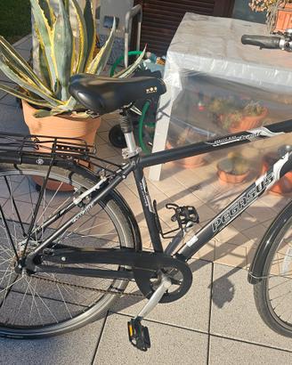 BICI DA TURISMO PEGASUS 