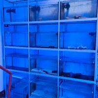 Vasche pesci per negozio