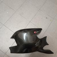 carbonio ducati 