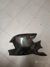 carbonio ducati 