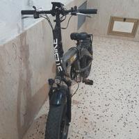 bici elettrica 