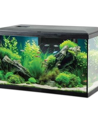 Zolux Acquario Tana 60 Nero Completo