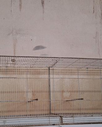 gabbia da 1160x40x50