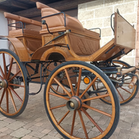 Carrozza per cavalli