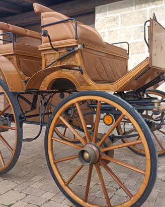 Carrozza per cavalli