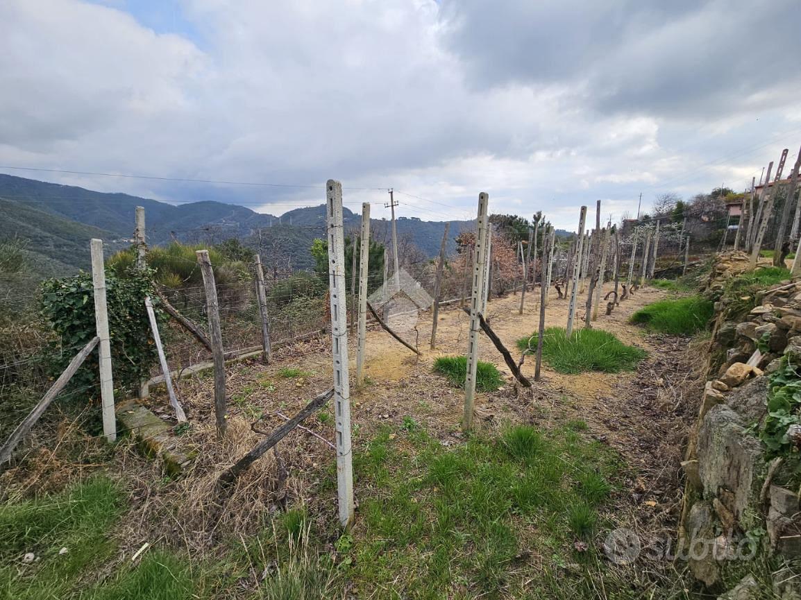 TER. RESIDENZIALE A CERIANA - Vista 3