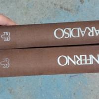 libri divina commedia 