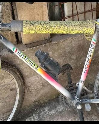 Bicicletta unisex