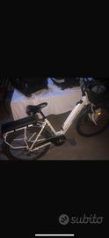 Bicicletta elettrica