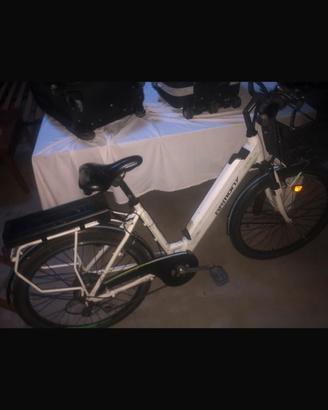 Bicicletta elettrica