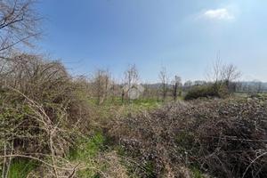 TER. AGRICOLO A ROPPOLO