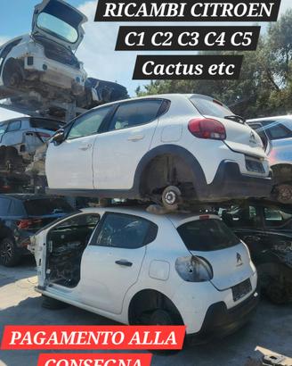 RICAMBI CITROEN C1 C2 C3 C4 C5 JUMPER CACTUS DS3 4