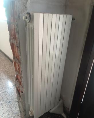 termosifoni ghisa