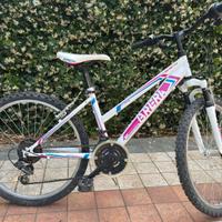 bici mtb bimba 24"