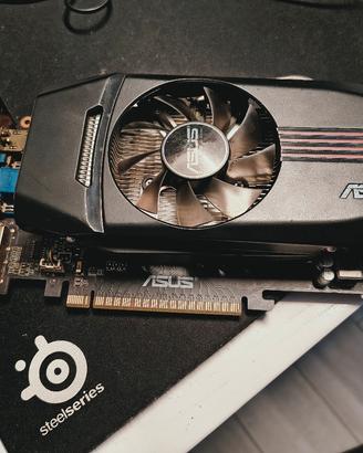 scheda video asus