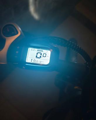 MTB adulti 26"