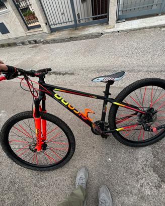 Torpado icaro