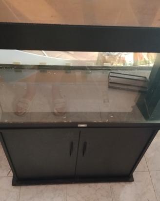 acquario 