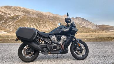 harley davison pan america