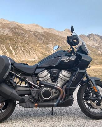 harley davison pan america