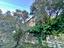 Immagine 10