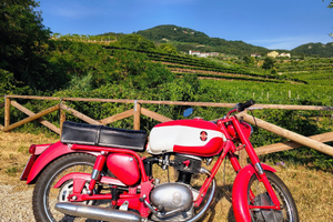 Gilera giubileo 175 iscritta asi