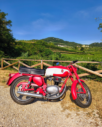 Gilera giubileo 175 iscritta asi