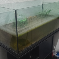 Acquario
