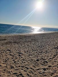 Indipendente piano terra