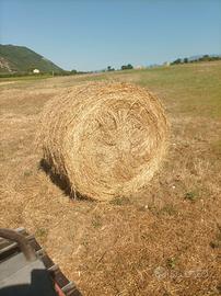 Rotoballe di fieno misto