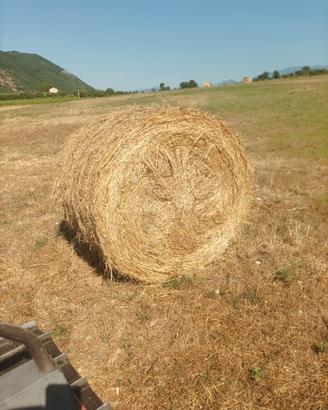 Rotoballe di fieno misto