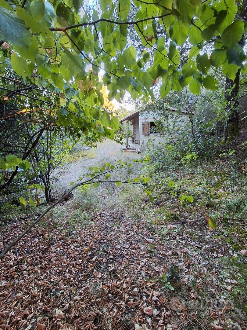 Terreno con capanno,pozzo e corrente-ruscello (ar) - Vista 3