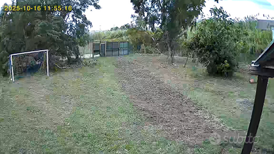 Terreno con approvazione sportive,vicino al mare