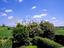 Immagine 26