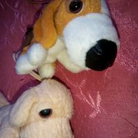 cagnolini peluche